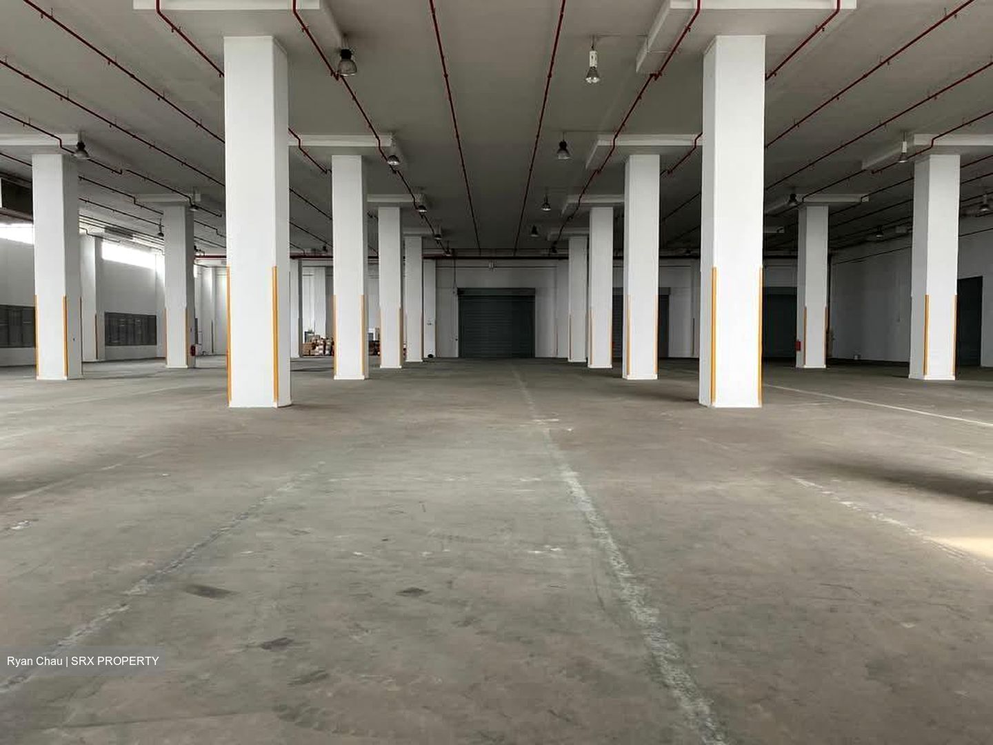 Expo Drive (D16), Warehouse #568721171